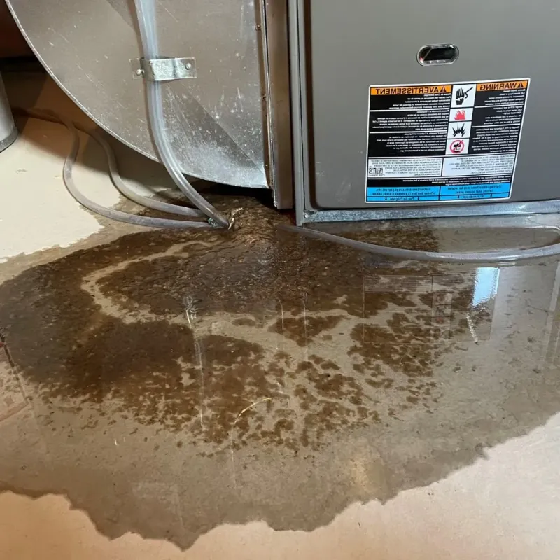 Pipe Burst and Leak Restoration in Williamsburg, KY