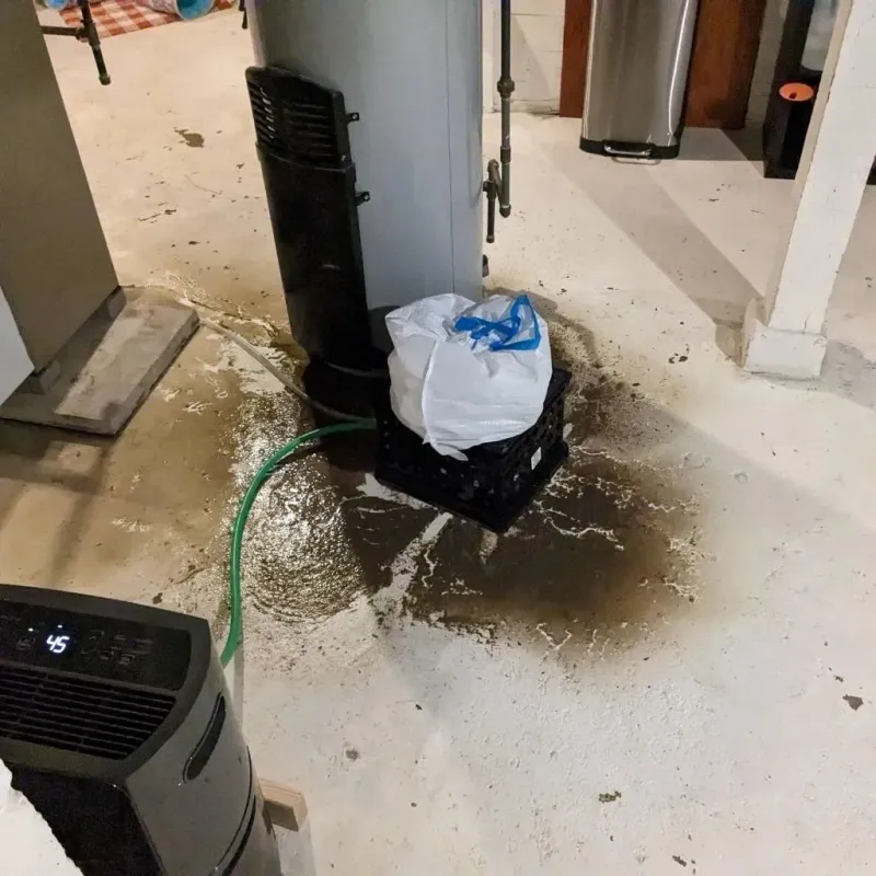 Sewage Backup Cleanup Service in Williamsburg, KY